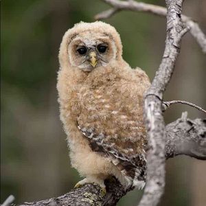 Meet your Posher, Lesli